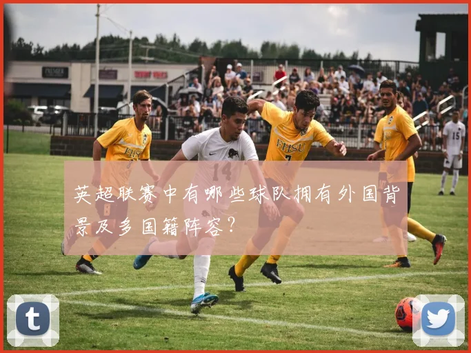 英超联赛中有哪些球队拥有外国背景及多国籍阵容?